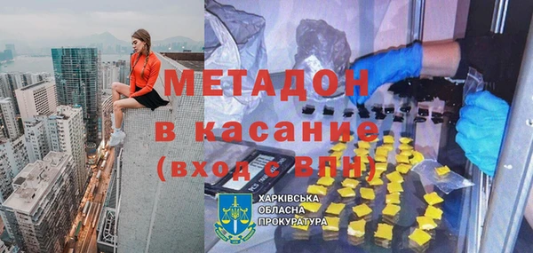 прущие грибы Белоозёрский