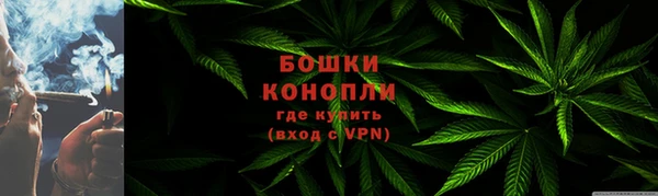прущие грибы Белоозёрский