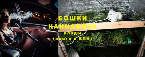 прущие грибы Белоозёрский