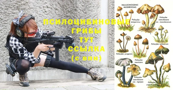 кокс Беломорск