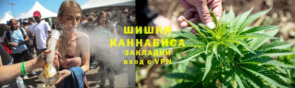 прущие грибы Белоозёрский