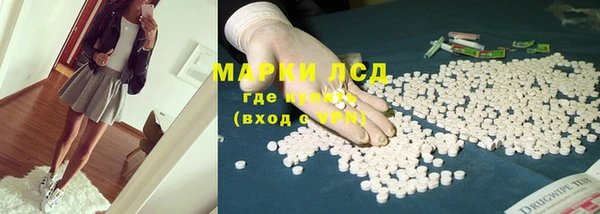 прущие грибы Белоозёрский
