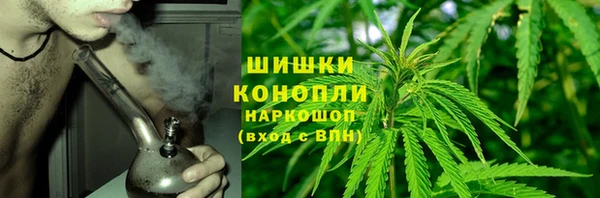 прущие грибы Белоозёрский